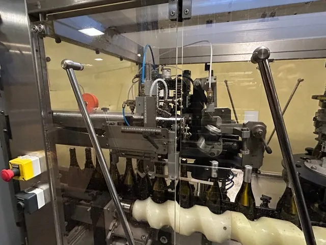 Capsulatrice Robino&Galandrino Astra F6
