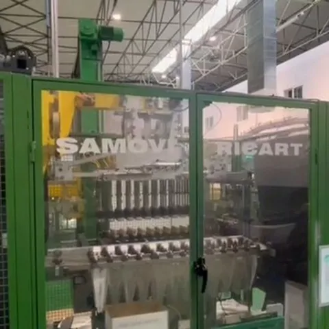 Case Packer Sealer Kosme 2012